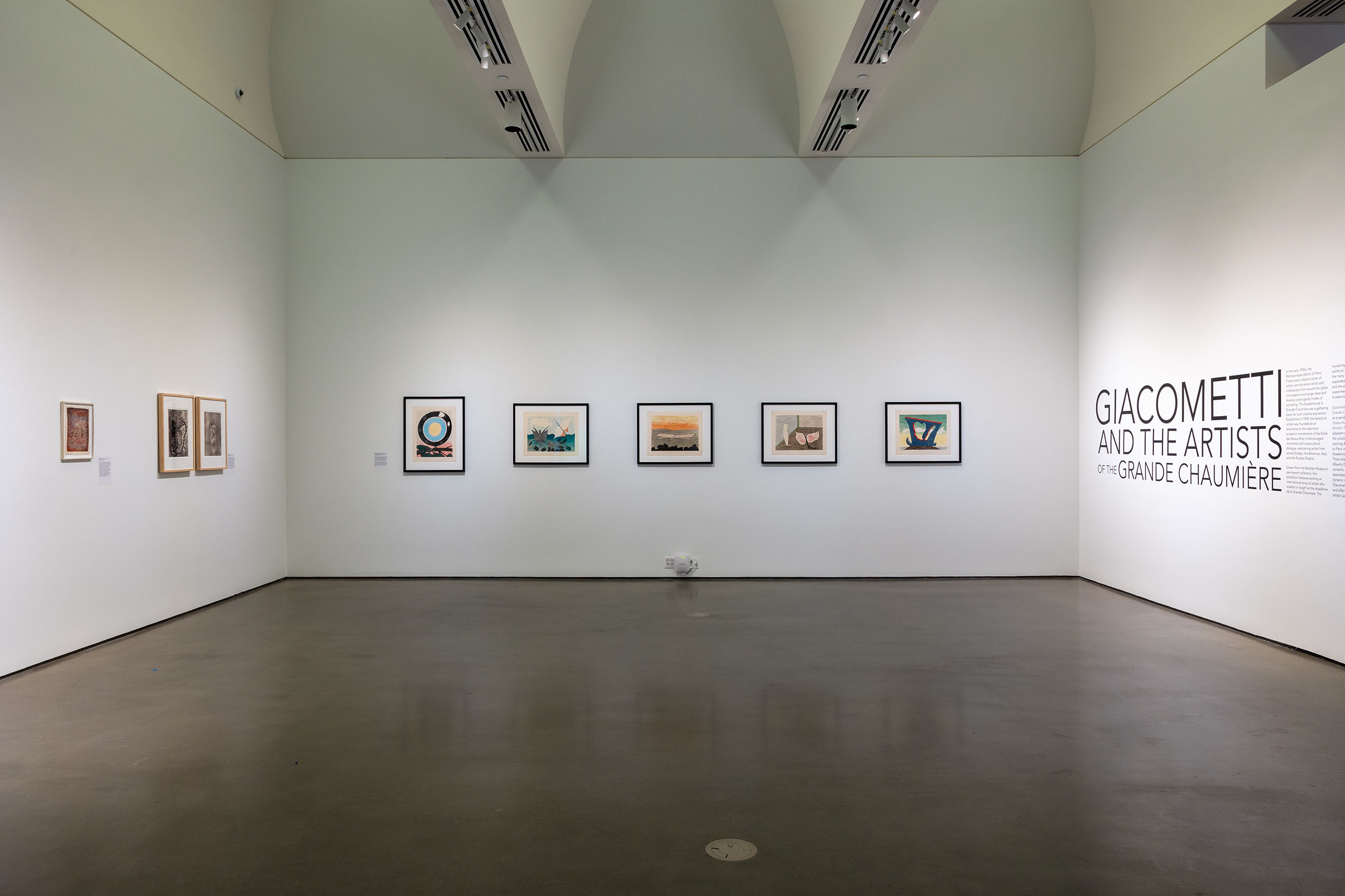 Installation view, Bechtler Museum of Modern Art Photo: Joshua Komer