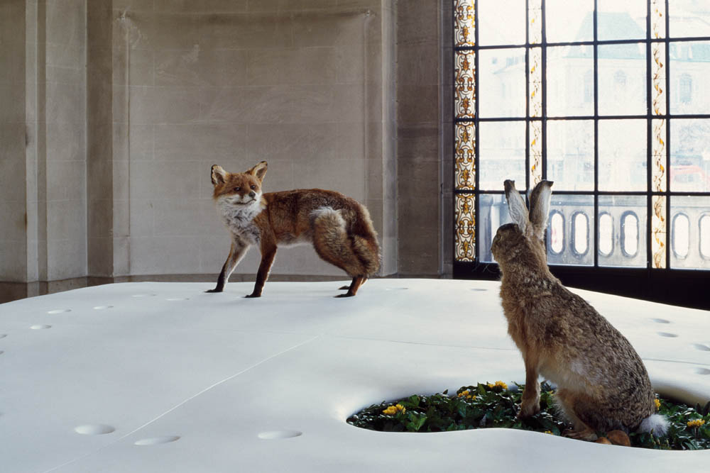 Installation view, Musée d'art et d'histoire, Geneva