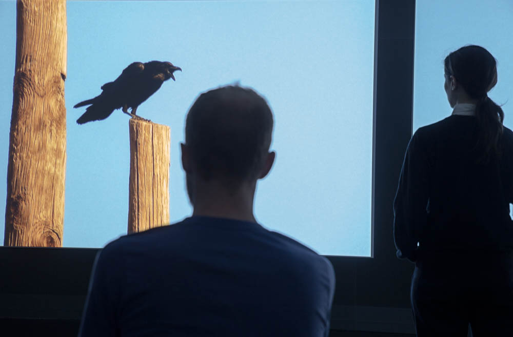 Installation view, Ballroom Marfa, Sound Speed Marker
Photo: Frederik Nilsen