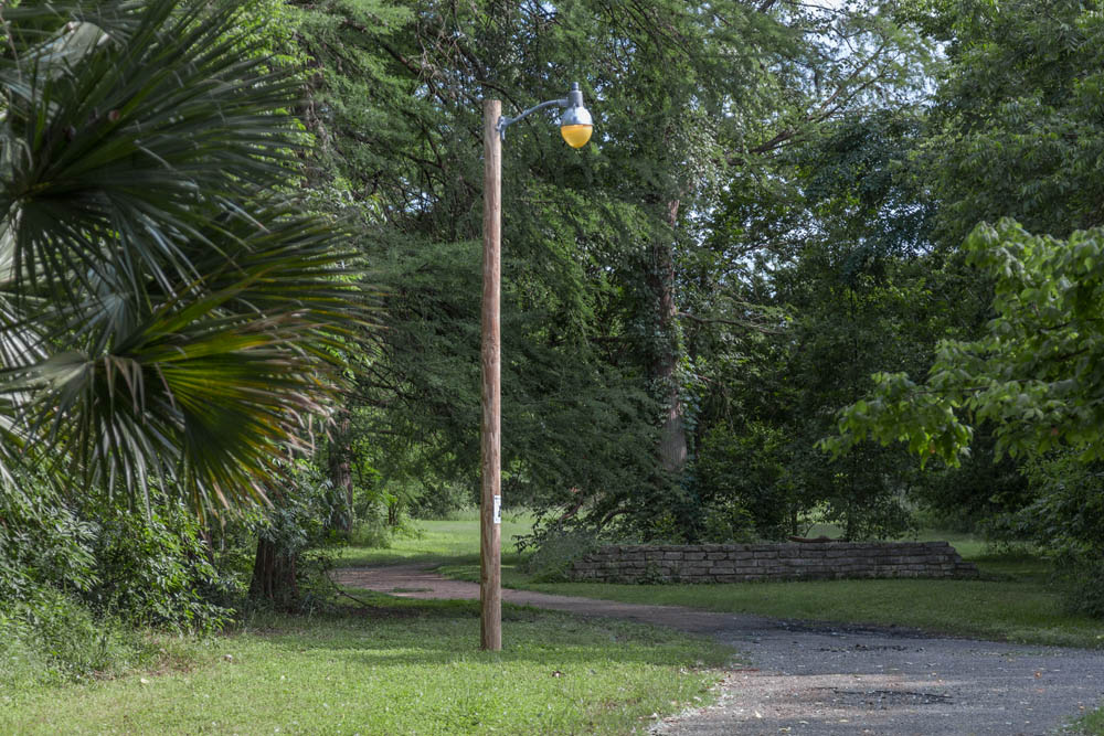 Installation view, Betty and Edward Marcus Sculpture Park at Laguna Gloria