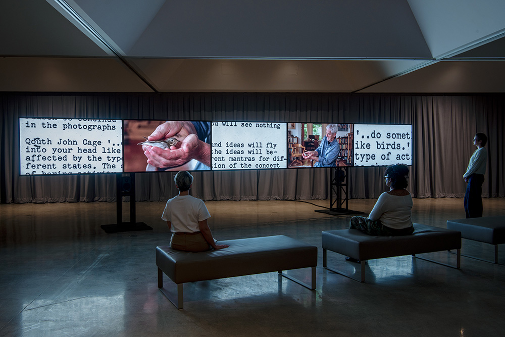 06-hubbard-birchler-agns-1000-srgb